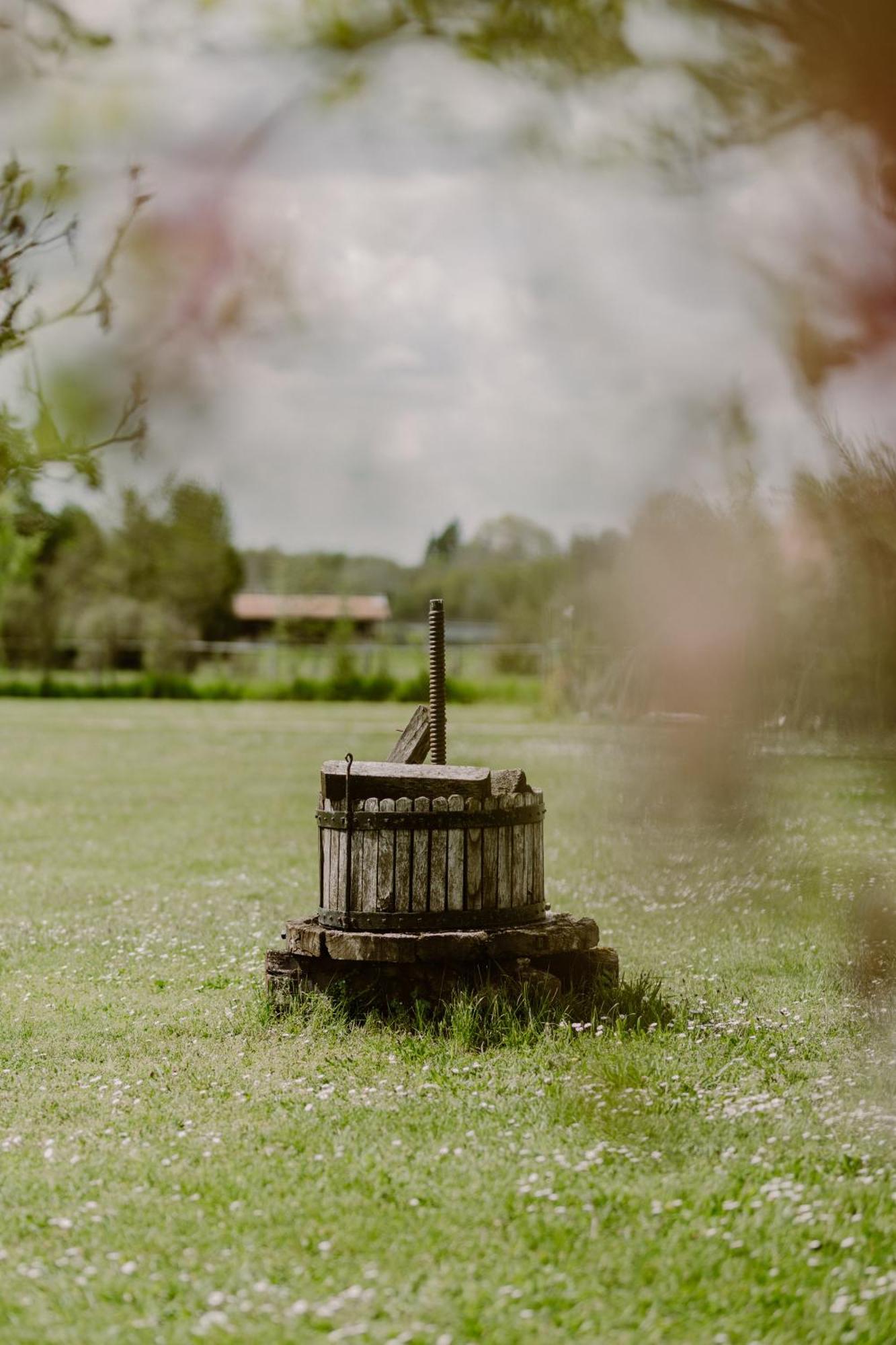 Вилла Domaine Les Hirondelles Lucky Domessin Экстерьер фото